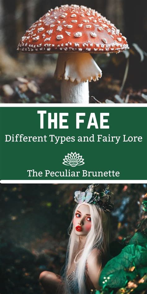 What are the characteristics of a fae witch
